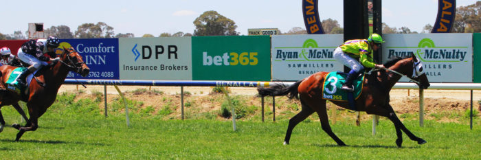 Racing ahead: bet365 is the current market leader in the Spanish online gambling market. Credit: David Thorpe/Racing Photos via Getty Images.