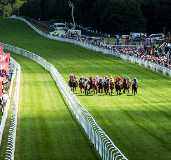 ARC-owned Goodwood Racecourse